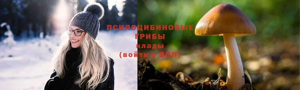 apvp Краснотурьинск